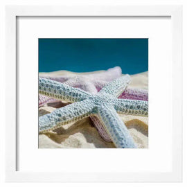 Full Colour Framed Print by Dina Marie