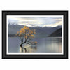 “Undisturbed” Framed Photographic Print by Michael Cahill