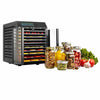 Excalibur 10-tray Dehydrator with Digital Control, Black
