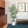 Faux 1.9 m (6.5 ft.) Eucalyptus Tree with Planter
